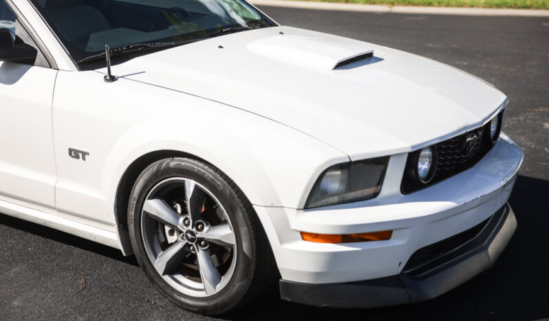 
								Ford Mustang 2008 full									